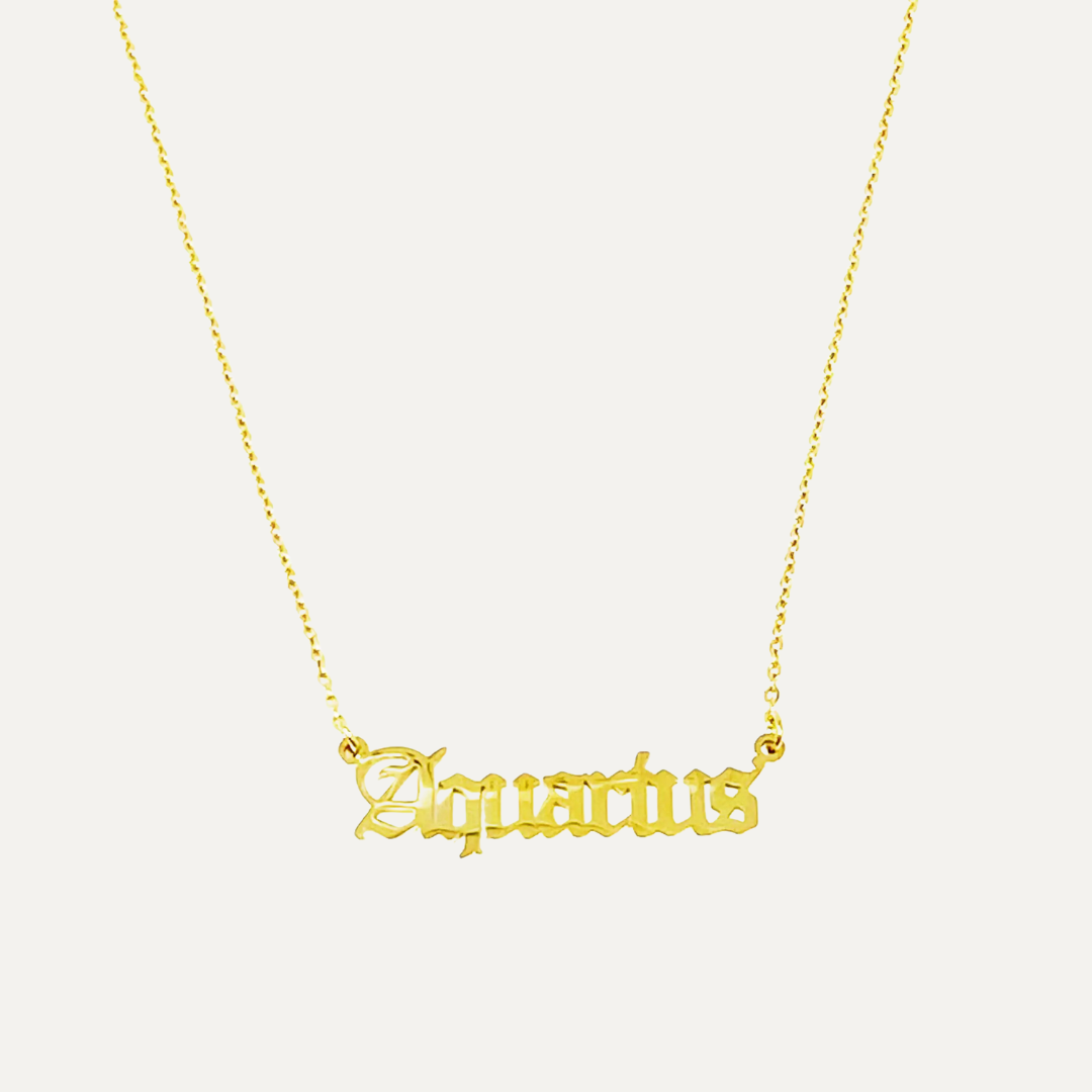 Juliette & Co™ Zodiac Necklace